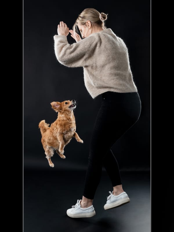 Tierfotografie 190